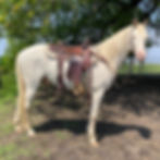 Messenger_creation_5b33bbdb-1800-45a7-878b-b6c2a6087dec