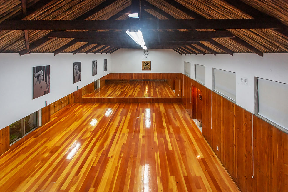 Dojo125.jpg