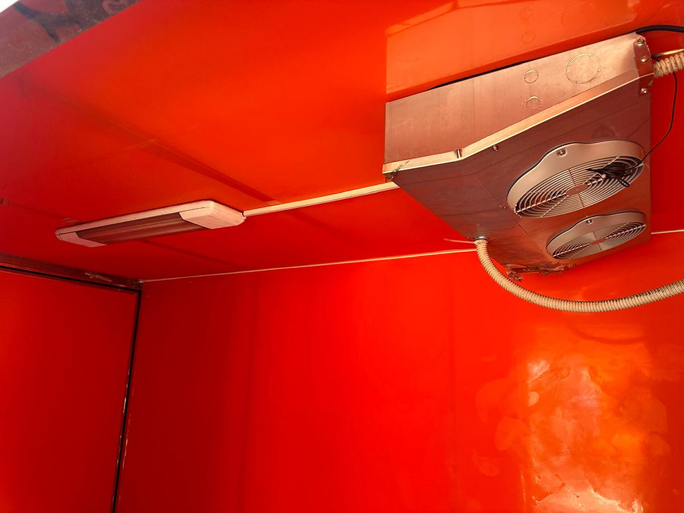 Miniaturbild: Cella frigo motorizzata