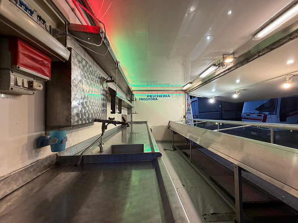 Miniaturbild: Autonegozio N.116