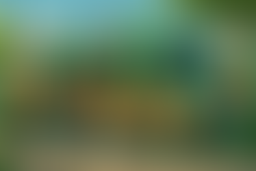 Food truck: una scelta che sta cambiando il mondo della ristorazione