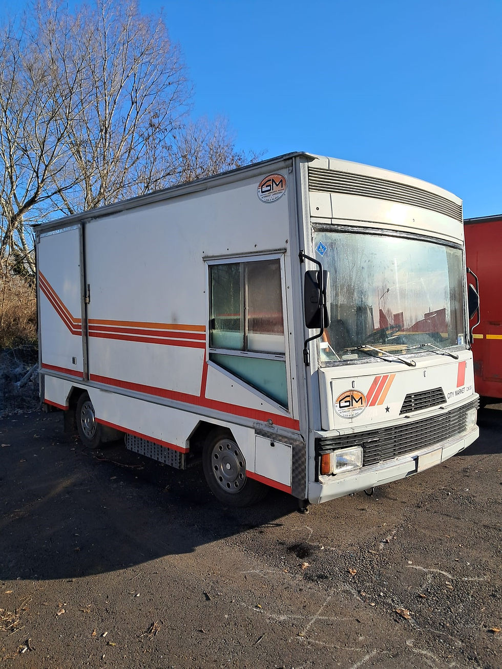 Miniaturbild: Autonegozio N.127