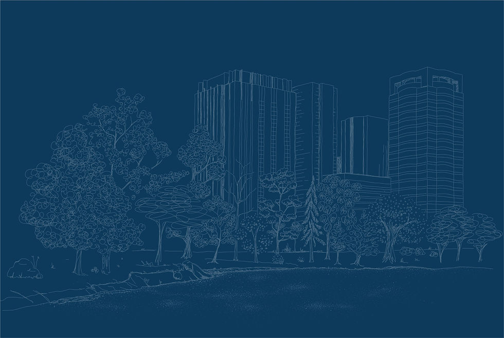 Regularização de imóveis