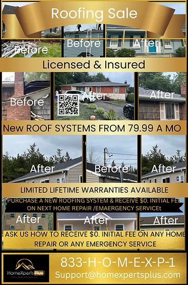 Roofing Promotion