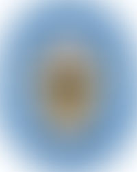 West Midlands Police response to Punish a Muslim Day