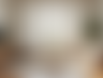 The Benefits of a Window Treatment Consultation