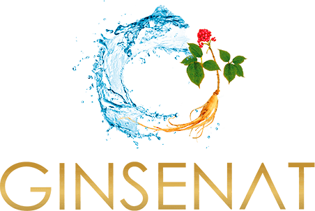 logo-gingin.png