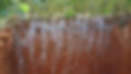 DSC03968.JPG