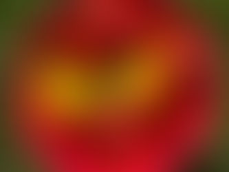 Aug. 10th Farm Box & Patzoldt's Peaches Arriving