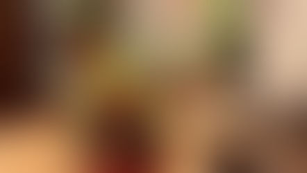 House Plants Make the Perfect Gift!