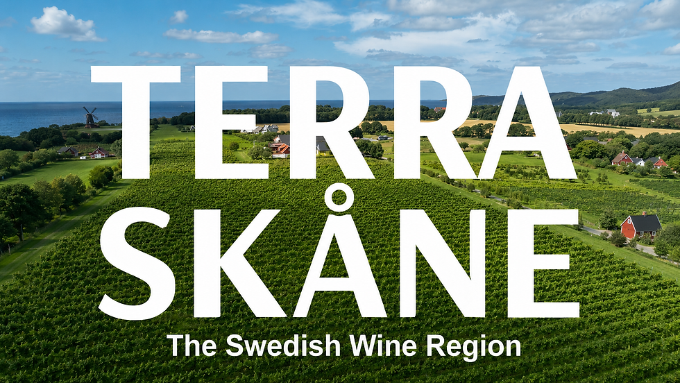 Short Review of The Economist article on Swedish wine from Kullabergs Vingård