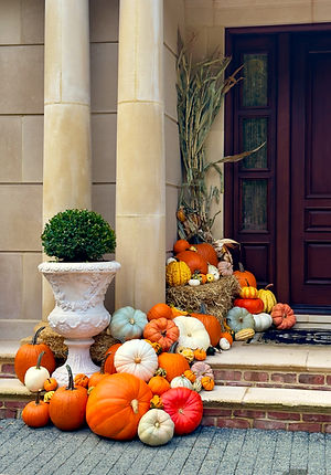 a large group of pretty fall pumpkins.jpg