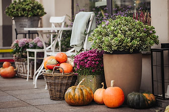 lifestyle photography elegant porch display heirloom pumpkins mums autumn foliage warm sun