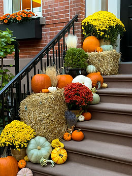 lifestyle photography elegant porch display heirloom pumpkins mums autumn foliage warm sun