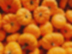 Add On - 25 Mini Pumpkins