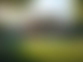 Exclusive Property Listings: Shahin Mina-Pour Real Estate Collection