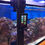 Thumbnail: OS360 Cleaning System for Aquariums Up To 38" in Height
