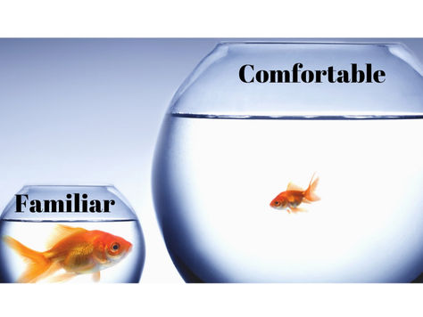 Weighing Out the Risks [Change]