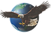 Eagle_edited_edited_edited.png