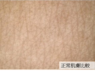 圖片 1.png