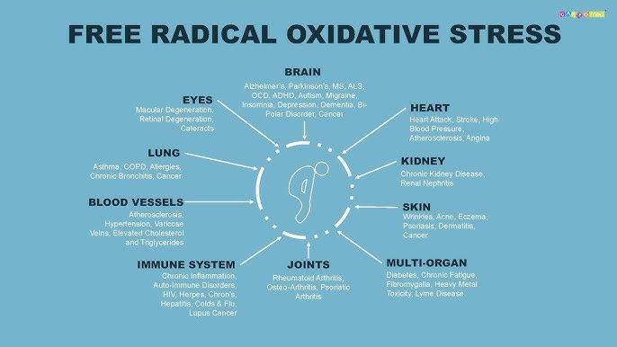 Oxidative Stress may be the hidden reason you feel run-down, inflamed or overall foggy. Understanding what it is , is the first step towards improving it. A great way to compact the effects of oxidative stress is with IV therapy.