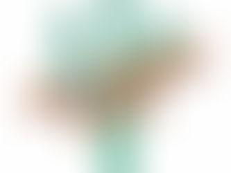 Cactus with the words Scottsdale Vibes written across it