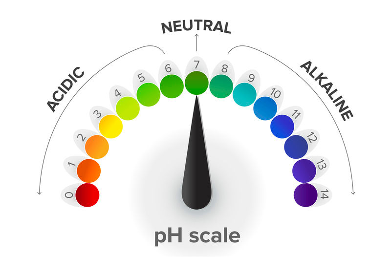 PH scale for the body