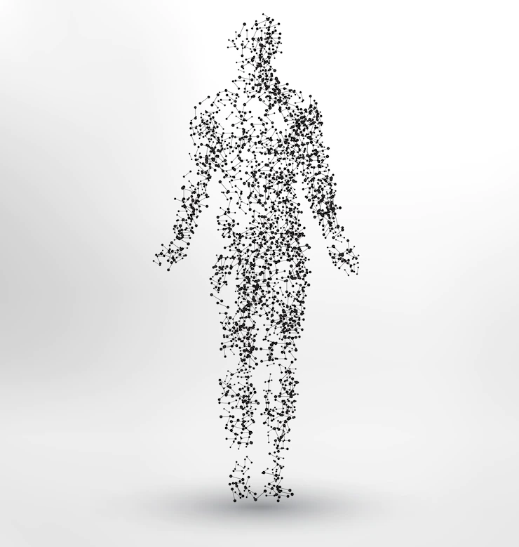 Le corps a travers le système VASCULAIRE