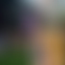 Case: Kuntien kaupunkitapahtumia