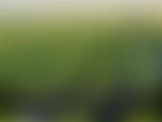 "Establecido el Plan de Riegos para el Ciclo Agrícola 2023-2024 en la Zona Pujal-Coy de San Luis Potosí"