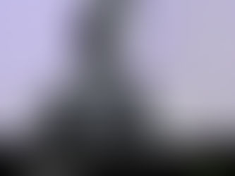 "Dictamen oficial concluye que esposo de María Amparo Casar se quitó la vida