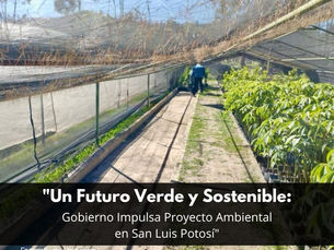 "Un Futuro Verde y Sostenible: Gobierno Impulsa Proyecto Ambiental en San Luis Potosí"
