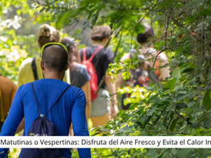 Caminatas Matutinas o Vespertinas: Disfruta del Aire Fresco y Evita el Calor Intenso en la Huasteca Potosina