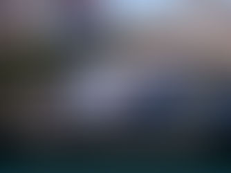 “Aseguradoras Pagan Más de 6,800 Millones de Pesos por Daños del Huracán Otis en Guerrero"