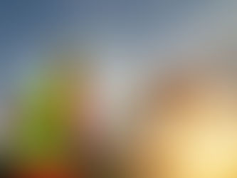 Understanding the Range of Security Contractor Vancouver Services 