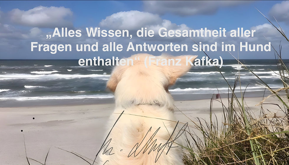 Hundetrainerin Marion Höft: die Weisheit und Ehrlichkeit der Hunde