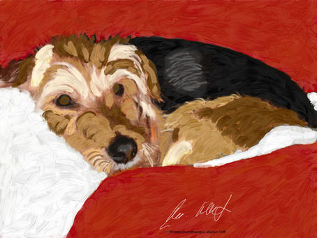 Es ist Weihnachtszeit