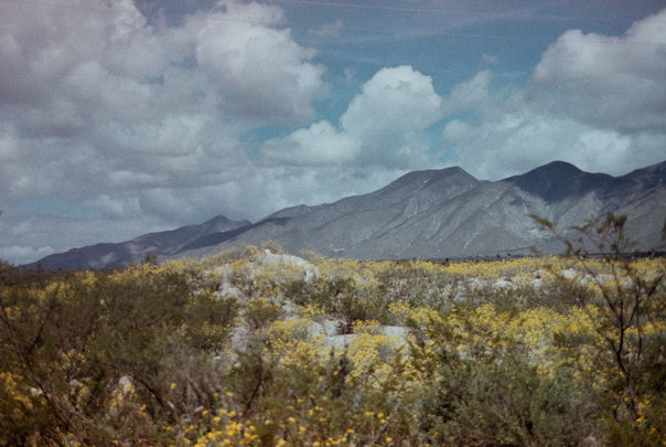 Photo04_3.jpg