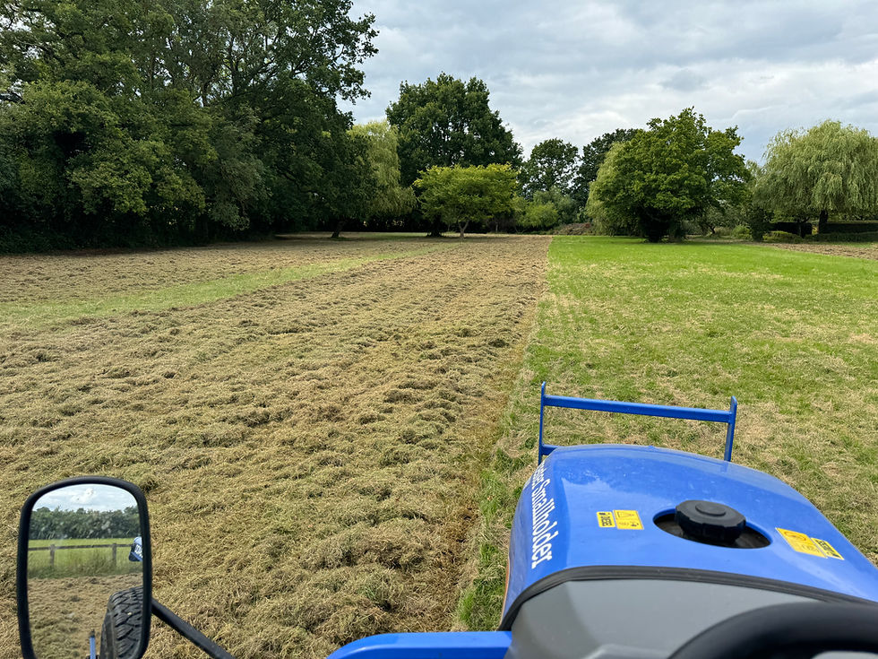 Thumbnail: Finishing Mower Hire