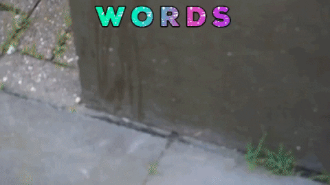 giphy-1.gif