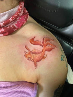 134619651_1482602441945913_7192264643437