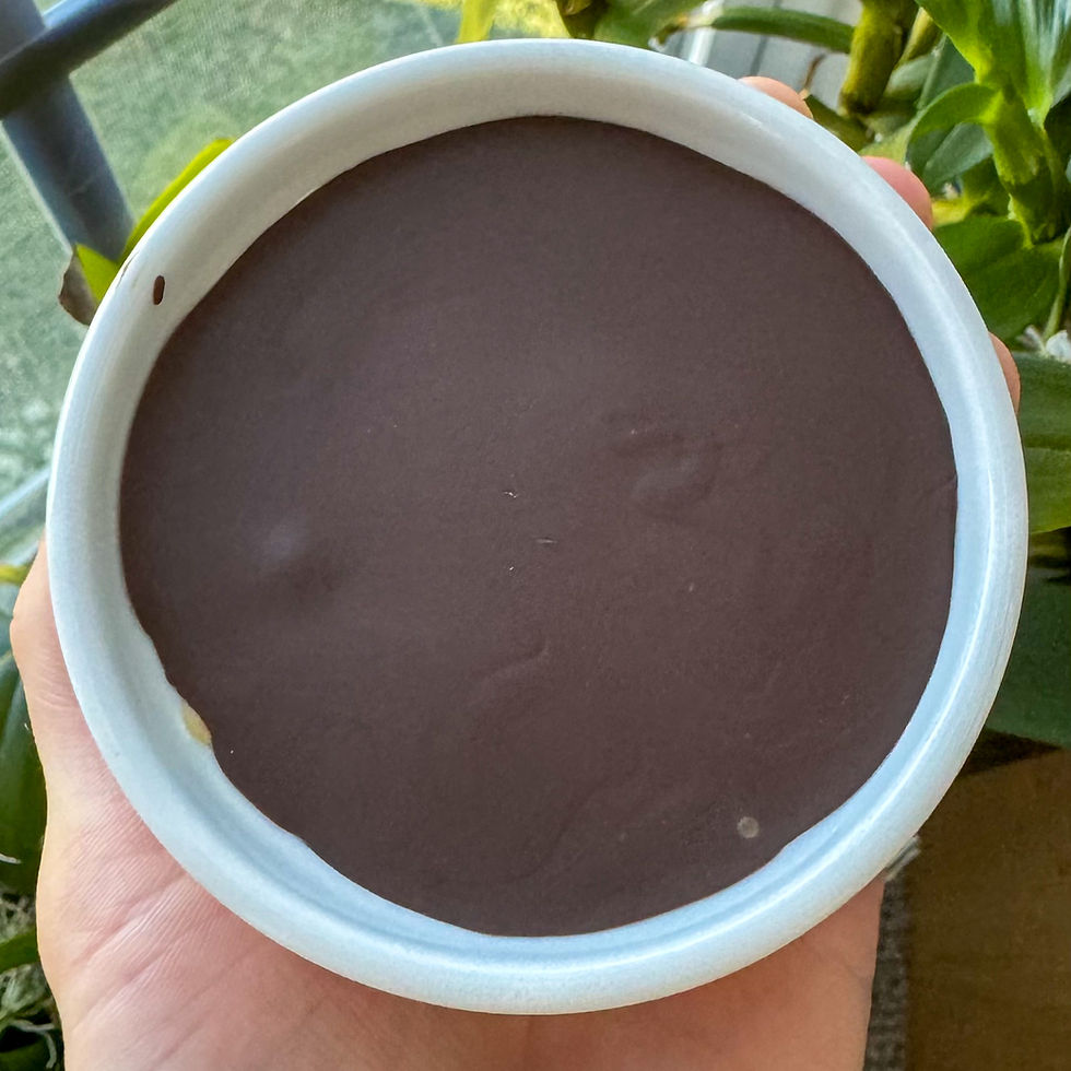 chocolate covered peanut butter pudding