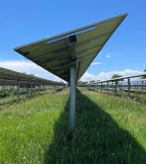 panels at Jacks.jpeg