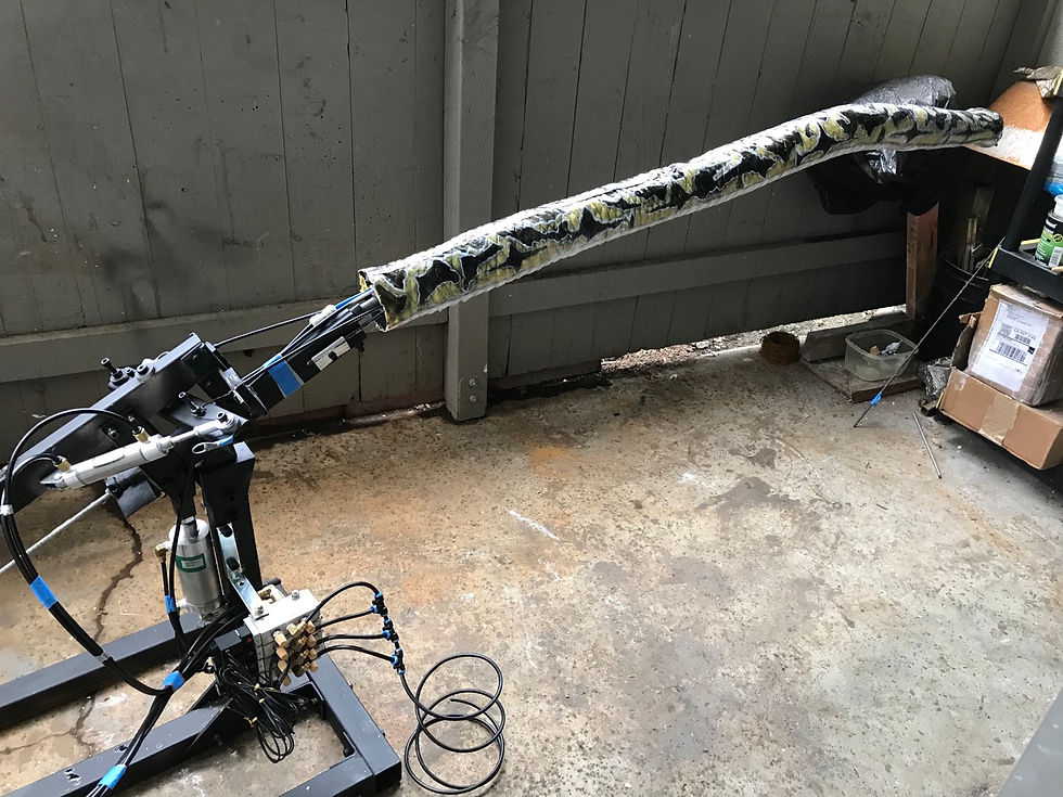 Thumbnail: Animatronic 60” Burmese  python snake   Complete 