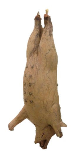 Thumbnail: Static Pig Prop display