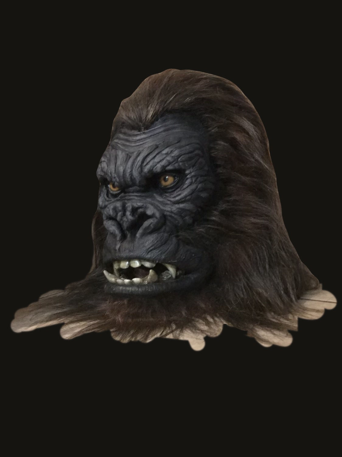 Gorilla Kong head display 