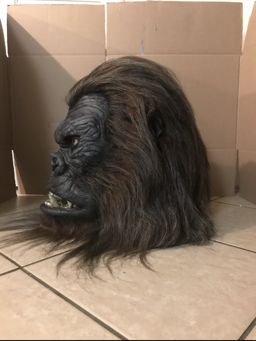 Thumbnail: Gorilla Kong head display 