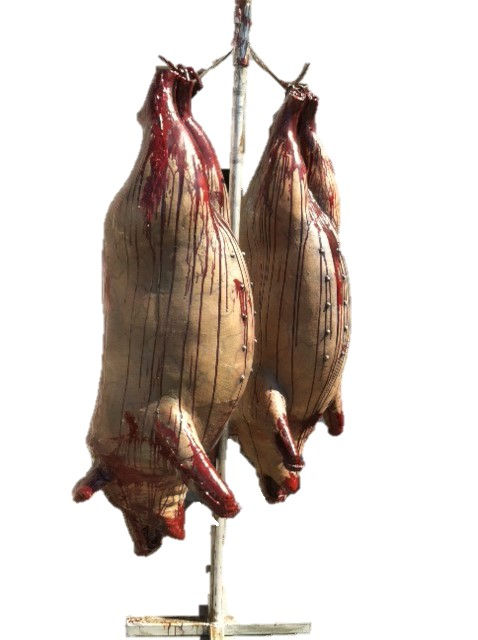 Thumbnail: Static Pig Prop display