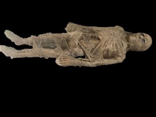 Thumbnail: Infested mummy 