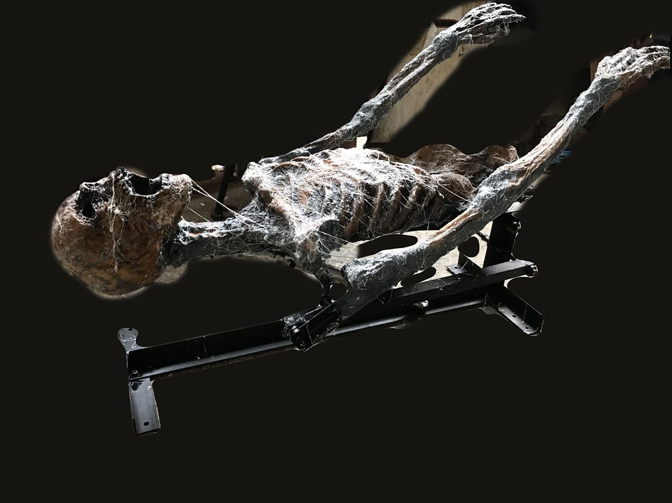 Thumbnail: Animatronic grave hopper 02 